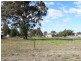Lot 2 & 3  Napier St, Mendooran NSW 2842
