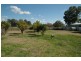 37 Iris St, Gilgandra NSW 2827