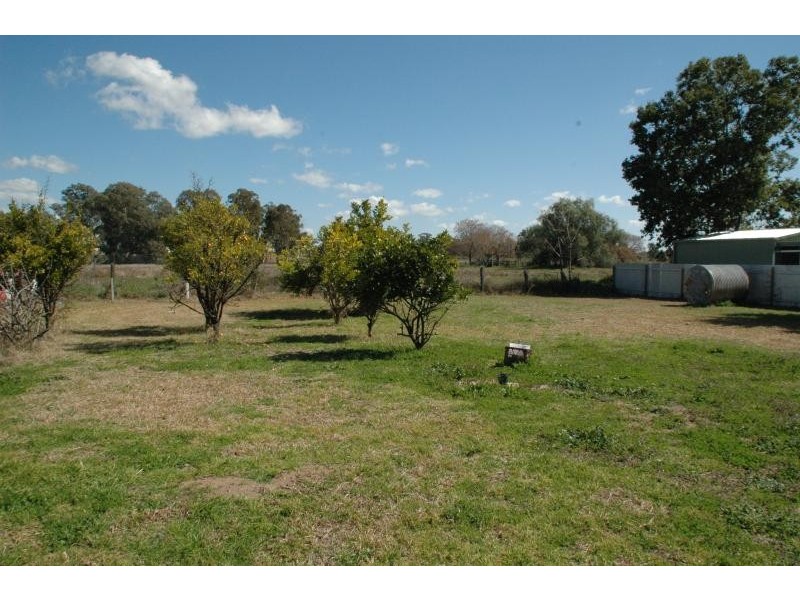 37 Iris St, Gilgandra NSW 2827