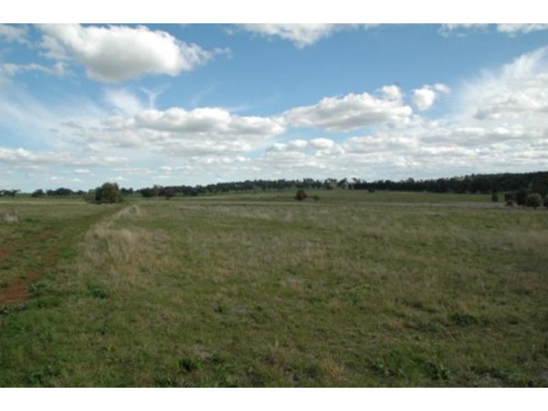 19L Bulwarra Dr, Dubbo NSW 2830