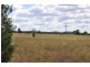 33R Lagoon Creek Rd, Dubbo NSW 2830
