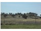 Tara Creek Jones Creek  Rd, Dubbo NSW 2830
