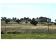 Tara Creek Jones Creek  Rd, Dubbo NSW 2830