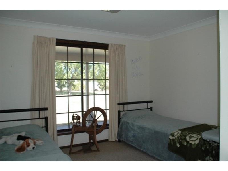 39 Chelmsford Ave, Gilgandra NSW 2827