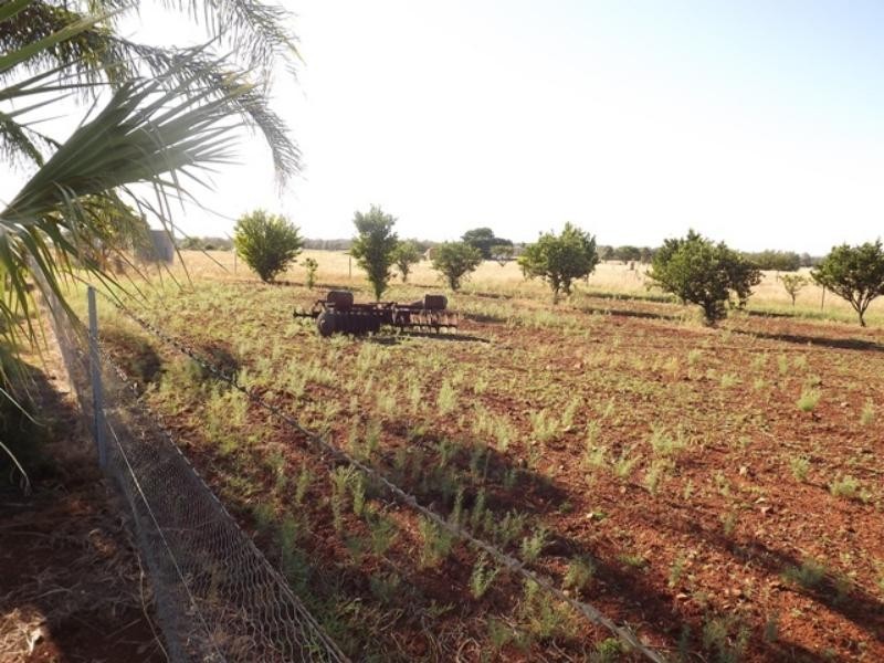 107R Old Dubbo Rd, Dubbo NSW 2830