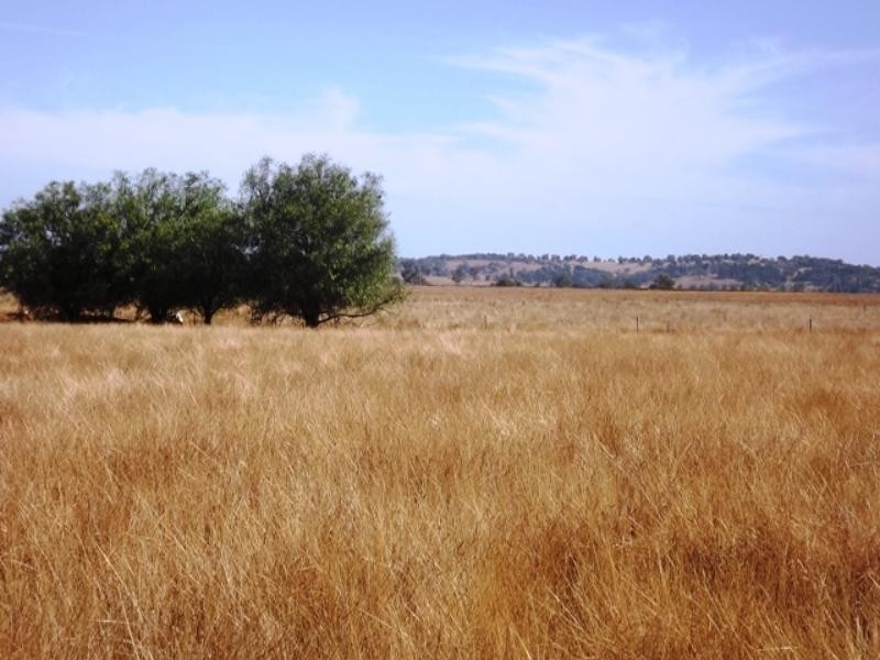 107R Old Dubbo Rd, Dubbo NSW 2830