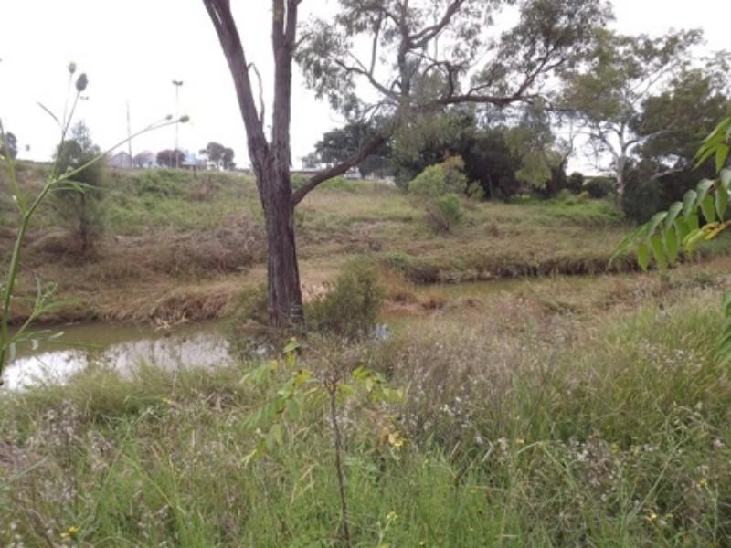 3658 Castlreagh  Hwy, Mendooran NSW 2842