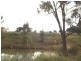 3658 Castlreagh  Hwy, Mendooran NSW 2842