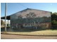 61 Bandulla St, Mendooran NSW 2842