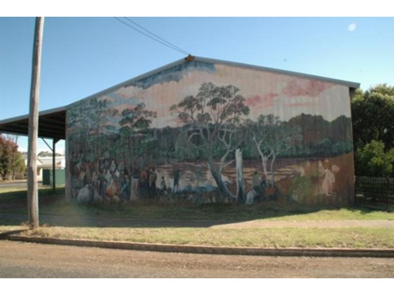 61 Bandulla St, Mendooran NSW 2842
