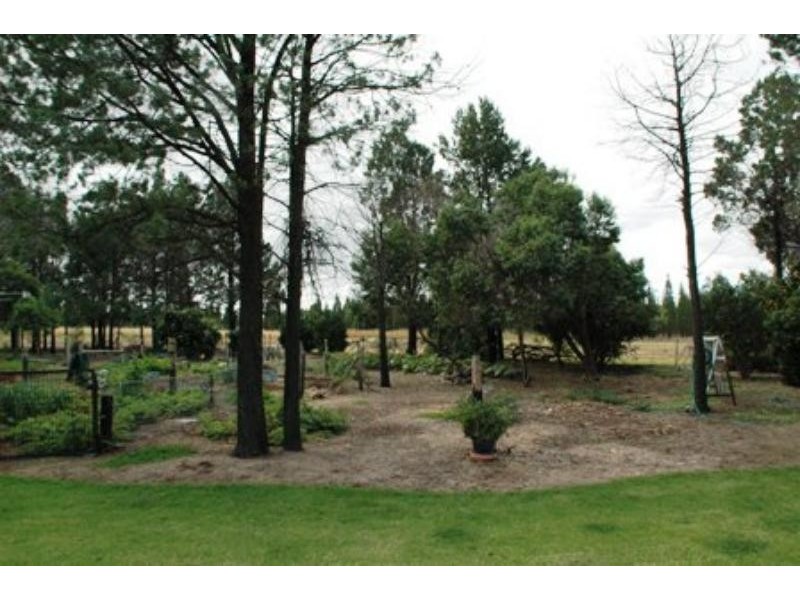 12 Butler Dr, Gilgandra NSW 2827