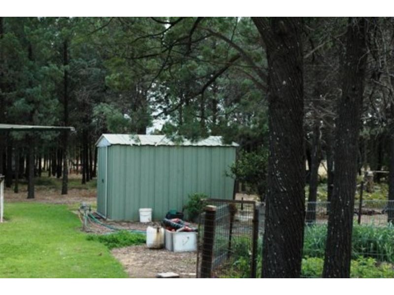 12 Butler Dr, Gilgandra NSW 2827