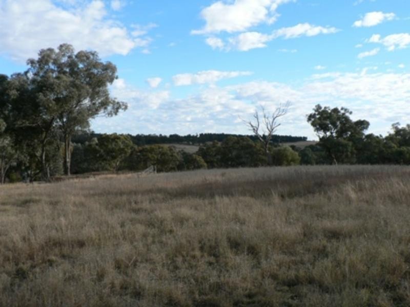 21 Geurie  St, Geurie NSW 2831