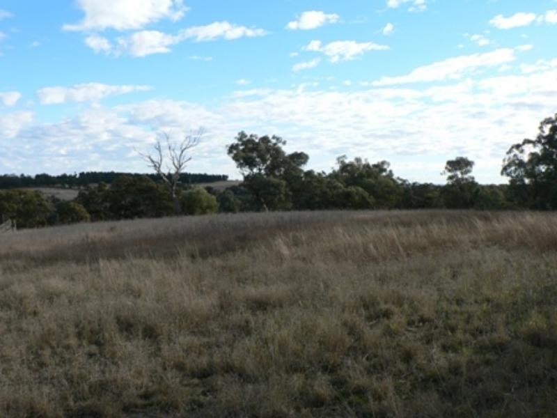 21 Geurie  St, Geurie NSW 2831