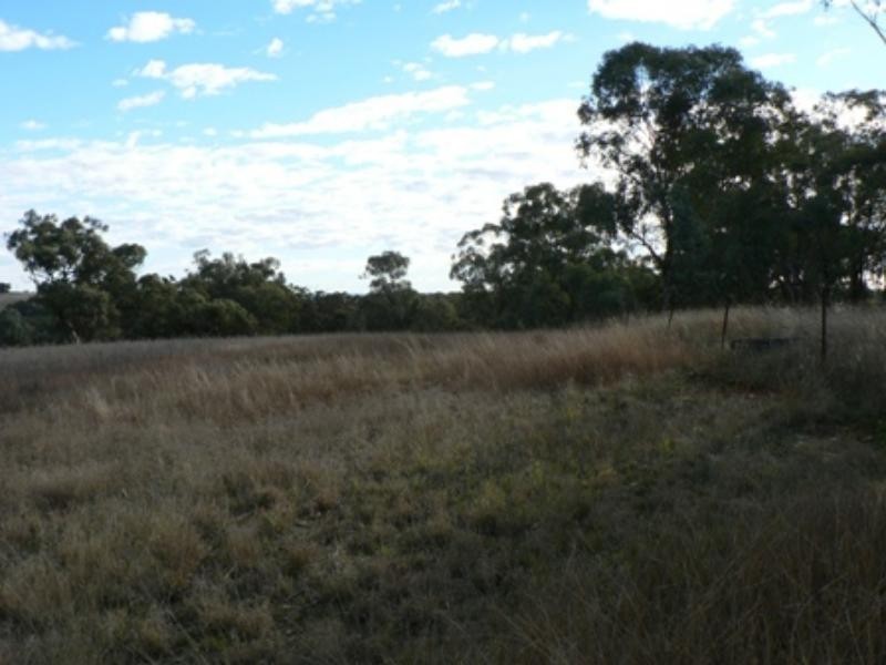 21 Geurie  St, Geurie NSW 2831