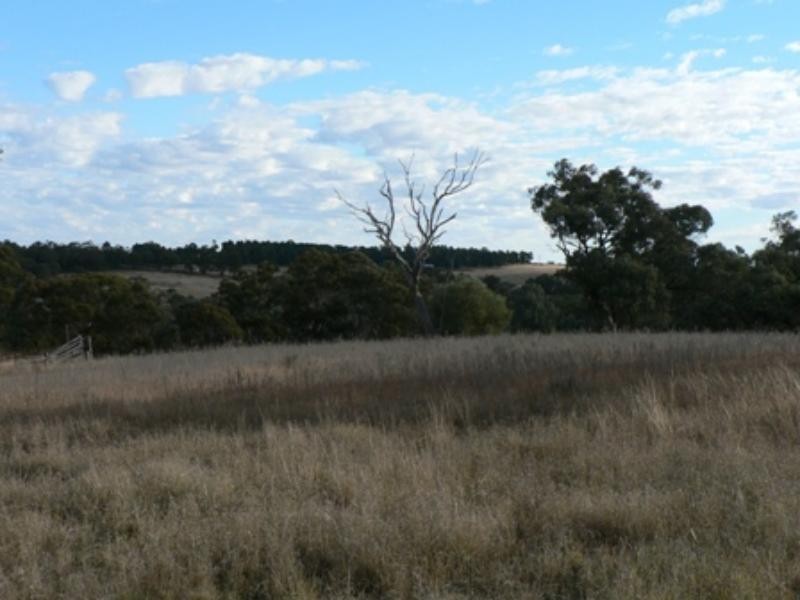 21 Geurie  St, Geurie NSW 2831