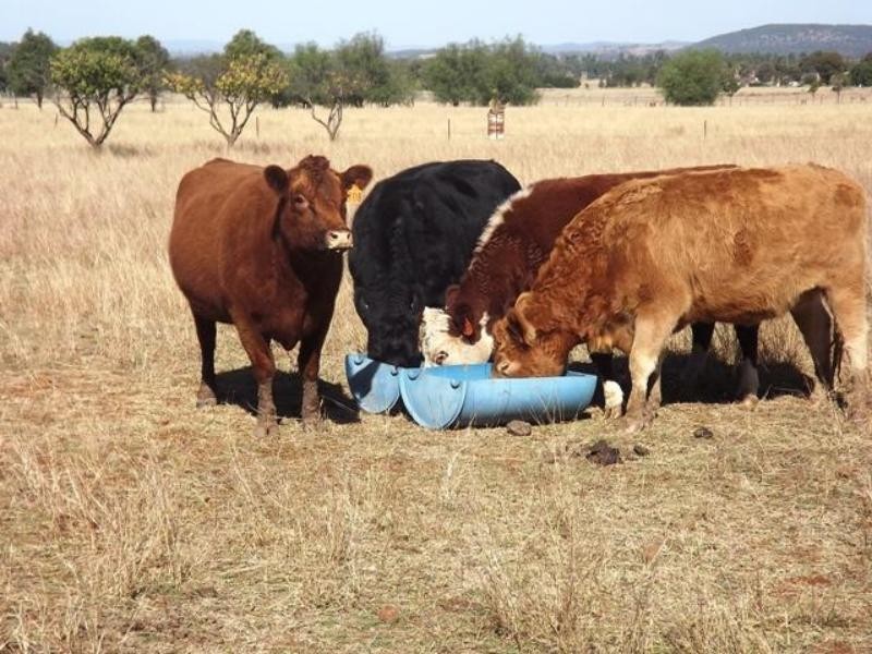 107 R Old Dubbo Rd, Dubbo NSW 2830