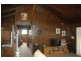 55 Abbott St, Mendooran NSW 2842