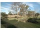 55 Abbott St, Mendooran NSW 2842