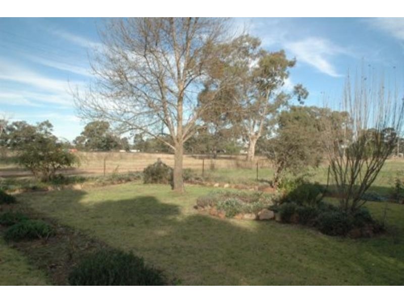 55 Abbott St, Mendooran NSW 2842