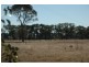 123 Railway Rd, Peak Hill NSW 2869