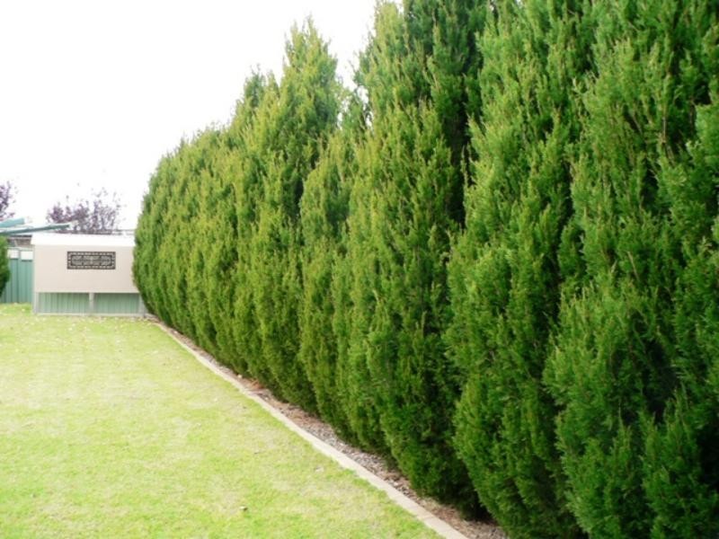 4 Ashlundie Cres, Dubbo NSW 2830