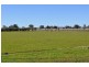 2 Caledonia  St, Mogriguy NSW 2830