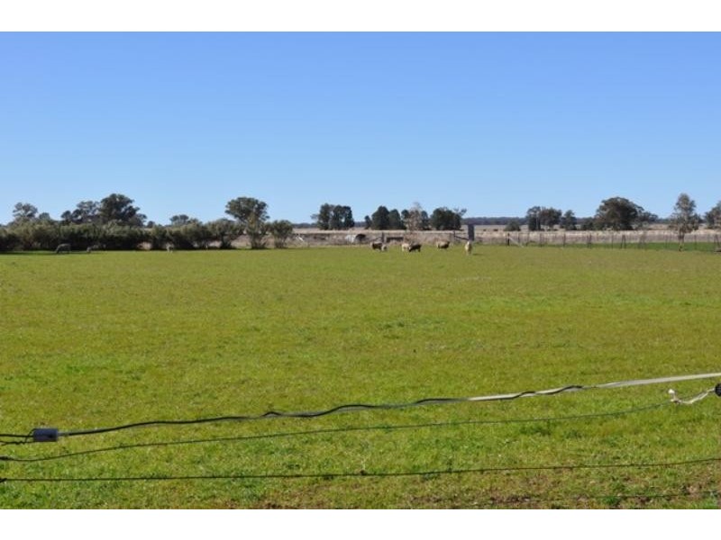 2 Caledonia  St, Mogriguy NSW 2830