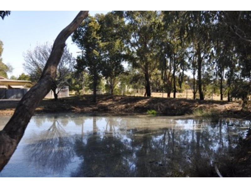 2 Caledonia  St, Mogriguy NSW 2830