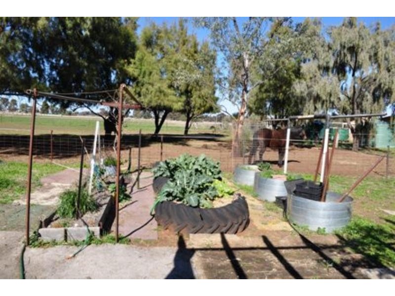2 Caledonia  St, Mogriguy NSW 2830