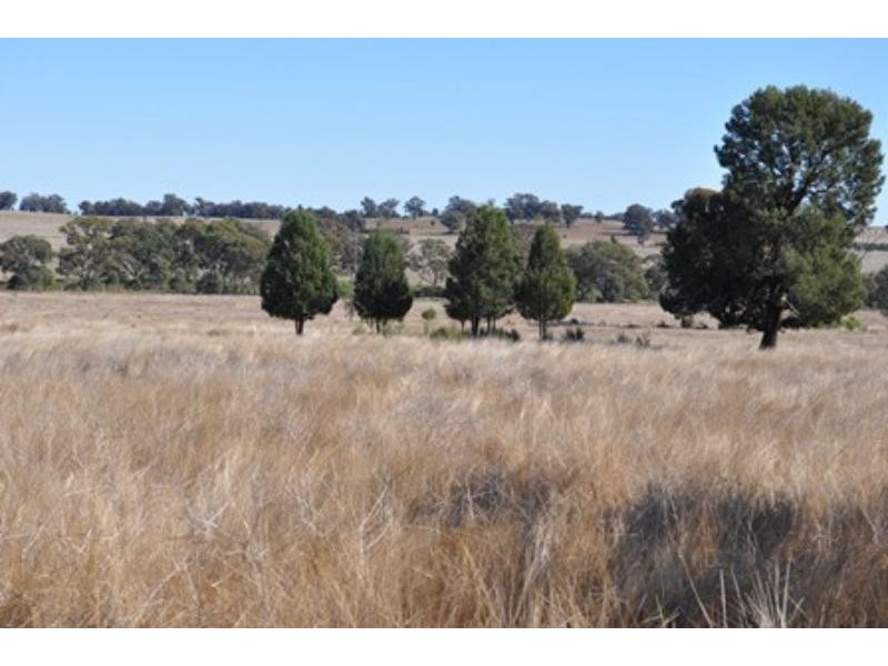 28R Rosedale Rd, Dubbo NSW 2830