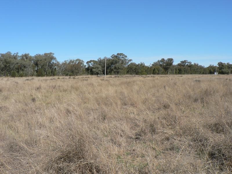 16 R Lagoon Creek Rd, Dubbo NSW 2830