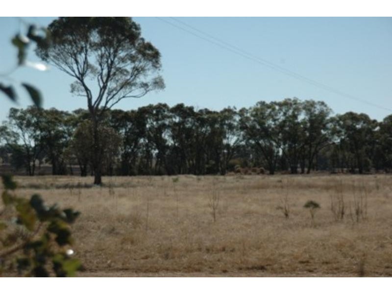 123 Railway  Rd, Peak Hill NSW 2869