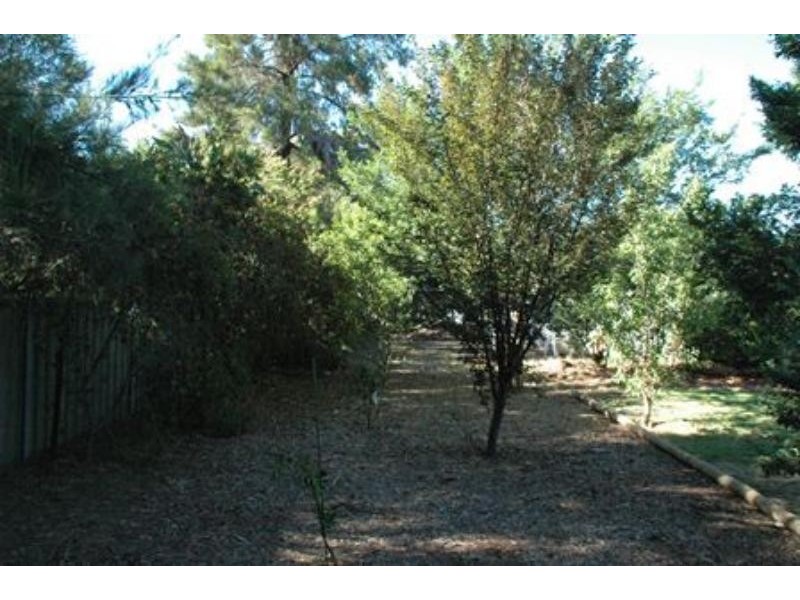 7 Loane  Pl, Dubbo NSW 2830