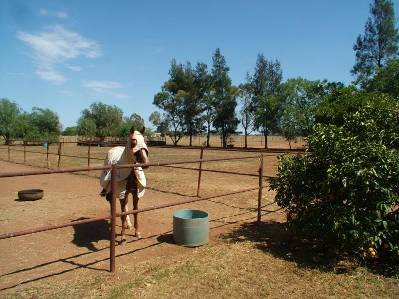 13 R Dulcidene Rd, Dubbo NSW 2830