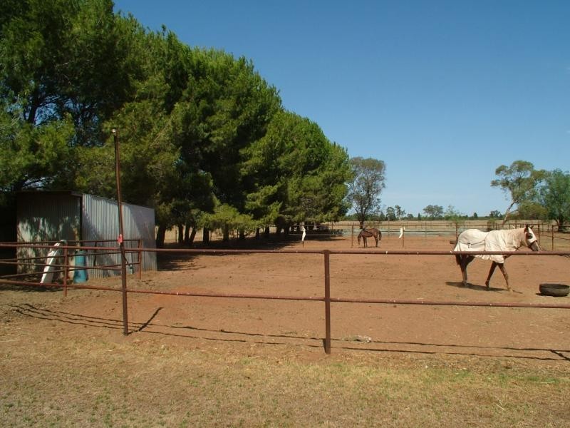 13 R Dulcidene Rd, Dubbo NSW 2830