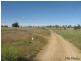 157 Tarwong Rd, Maryvale NSW 2820