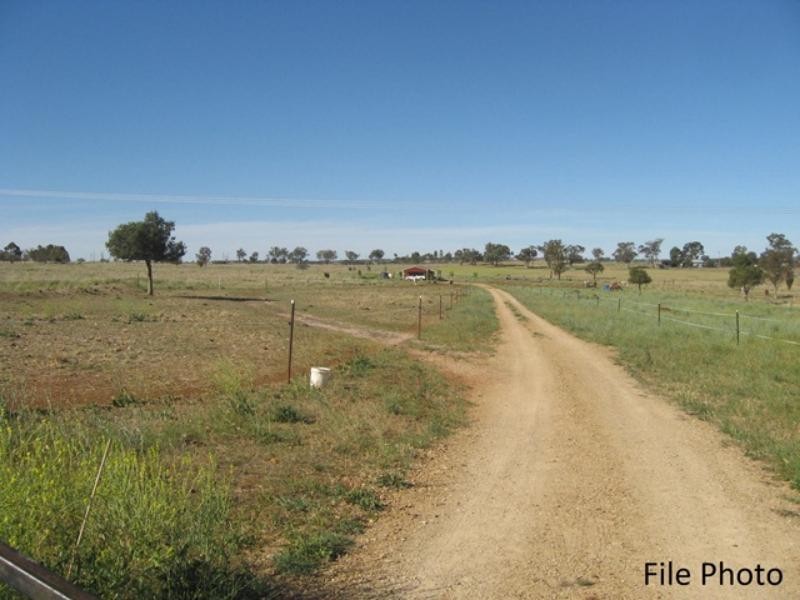 157 Tarwong Rd, Maryvale NSW 2820
