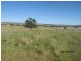 157 Tarwong Rd, Maryvale NSW 2820