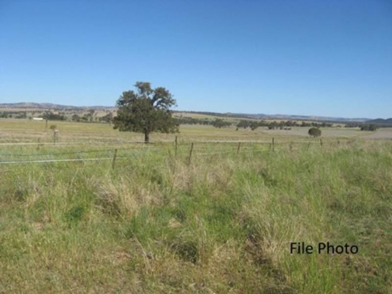 157 Tarwong Rd, Maryvale NSW 2820