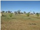 157 Tarwong Rd, Maryvale NSW 2820