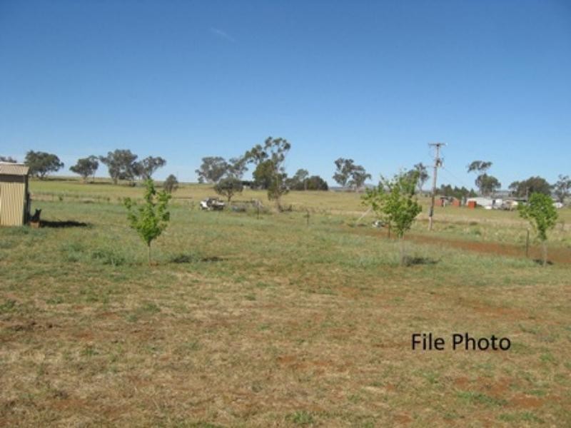 157 Tarwong Rd, Maryvale NSW 2820