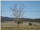 157 Tarwong Rd, Maryvale NSW 2820