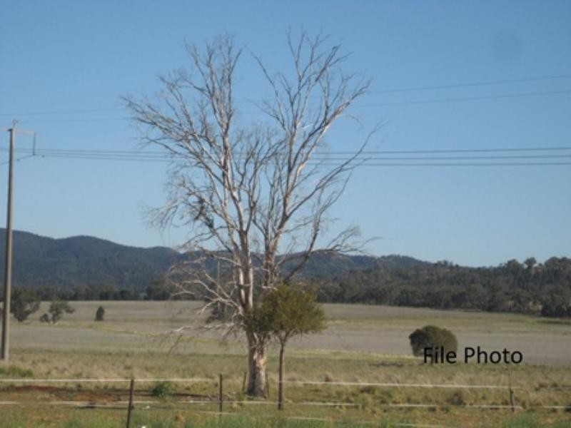 157 Tarwong Rd, Maryvale NSW 2820