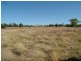 12 R Terra  Dr, Dubbo NSW 2830