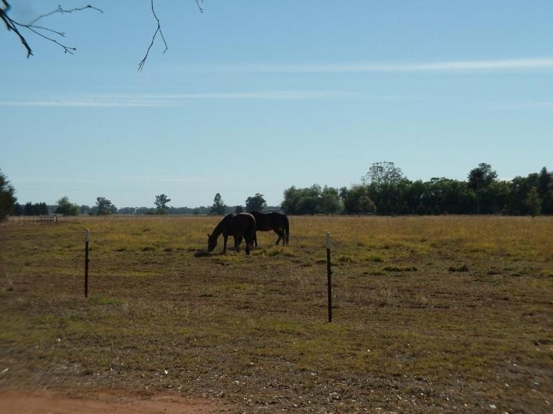 5 R  Yallamba Rd, Dubbo NSW 2830