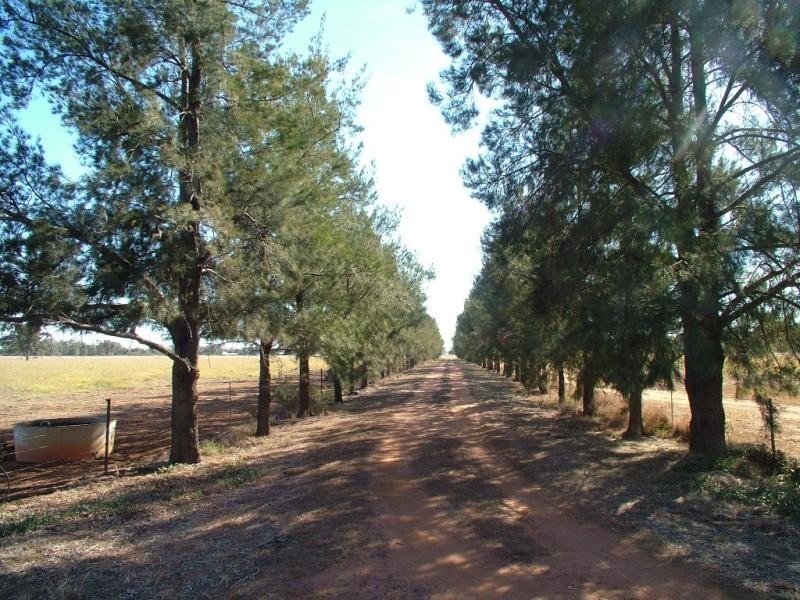 5 R  Yallamba Rd, Dubbo NSW 2830