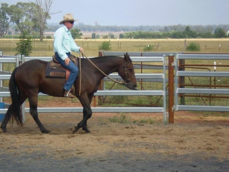 5 R  Yallamba Rd, Dubbo NSW 2830