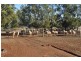 18L Rocky  Rd, Dubbo NSW 2830