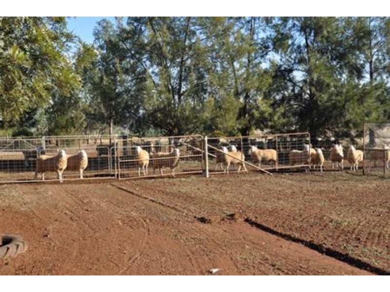 18L Rocky  Rd, Dubbo NSW 2830